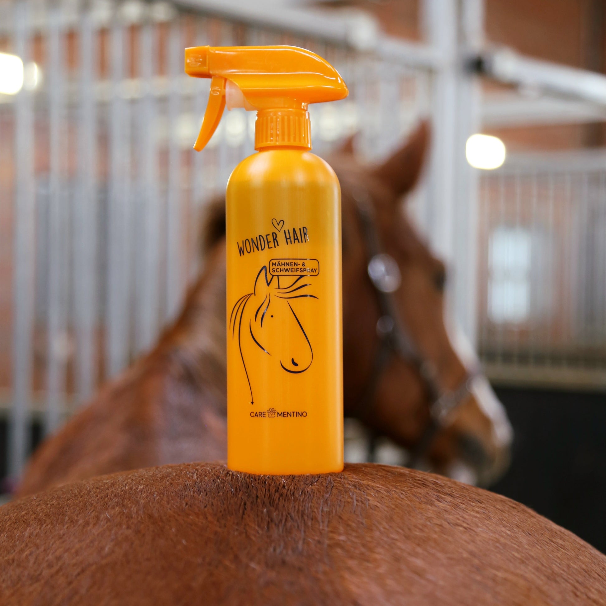 Carementino Mähnen- & Schweifspray Konzentrat im Stall – silikonfreie Pferdepflege nachfüllen